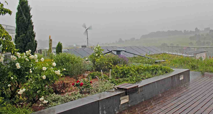 Intensive Dachbegrünung mit hoher Wasserspeichereistung bei Starkkregen von Zinco